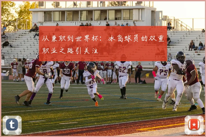 从兼职到世界杯：冰岛球员的双重职业之路引关注