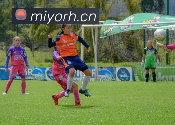 多媒体互动体验